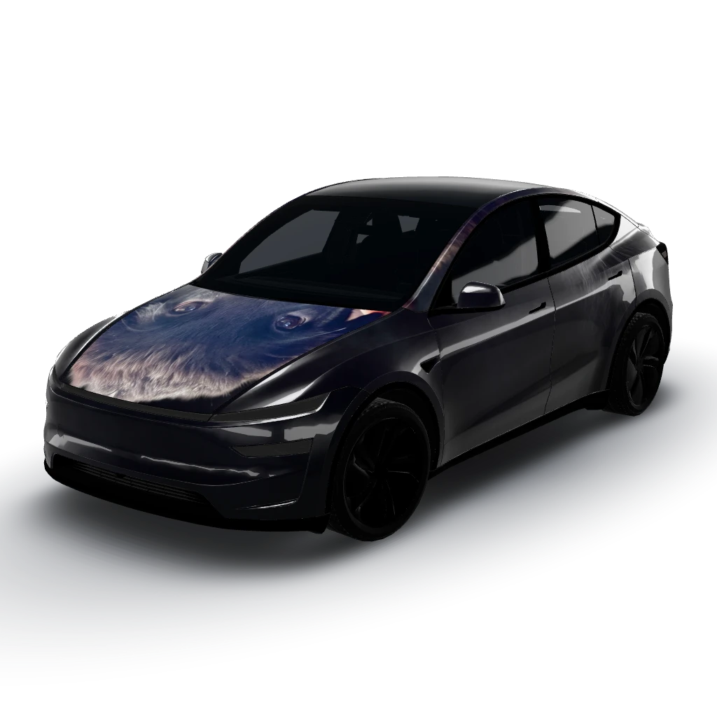One — a Model Y (2025+) Premium wearing this AI wrap design